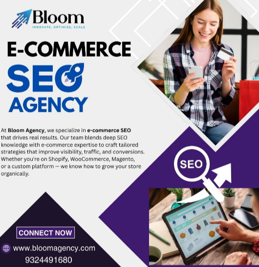 ecommerce SEO service