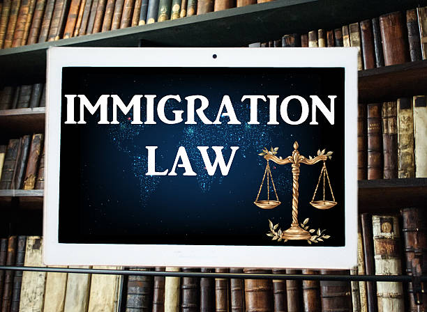 Immigration Habeas Corpus Attorney
