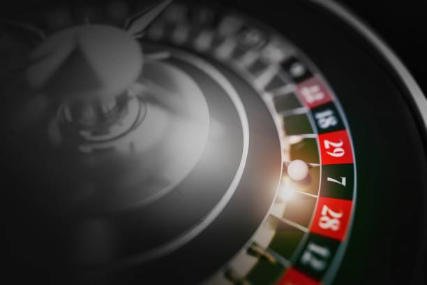 11xplay online